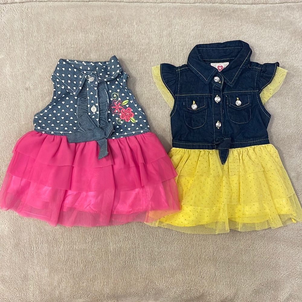 $20 for 2 cute dresses 3-6 M BABY GIRL